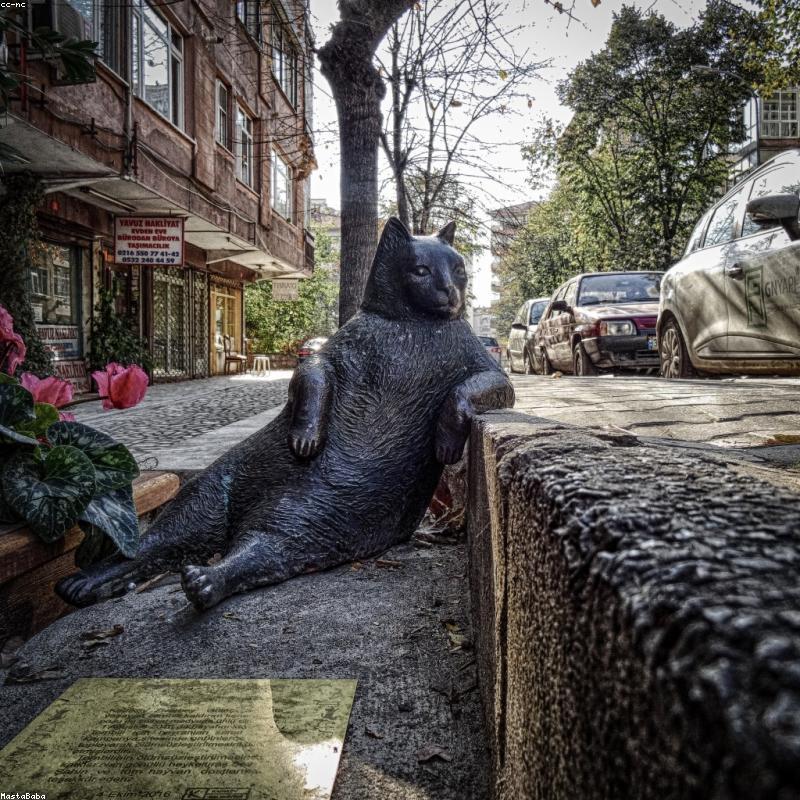 ALP Moist Nicotine Pouches - 5 Pack